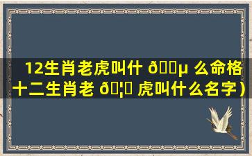 12生肖老虎叫什 🌵 么命格（十二生肖老 🦁 虎叫什么名字）